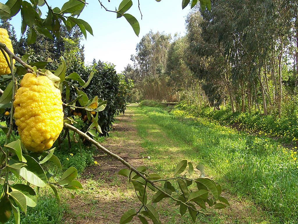 Luna&Limoni Country Muravera Exteriör bild